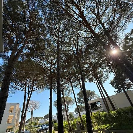 San Pietro Yard Plazhi San Pietro