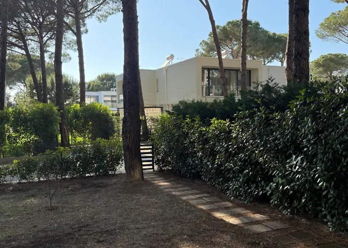 San Pietro Yard